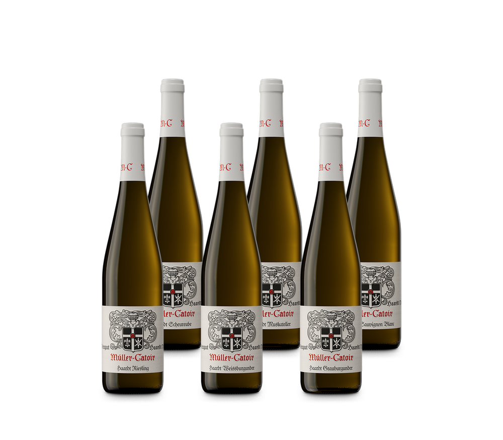 Probierpaket