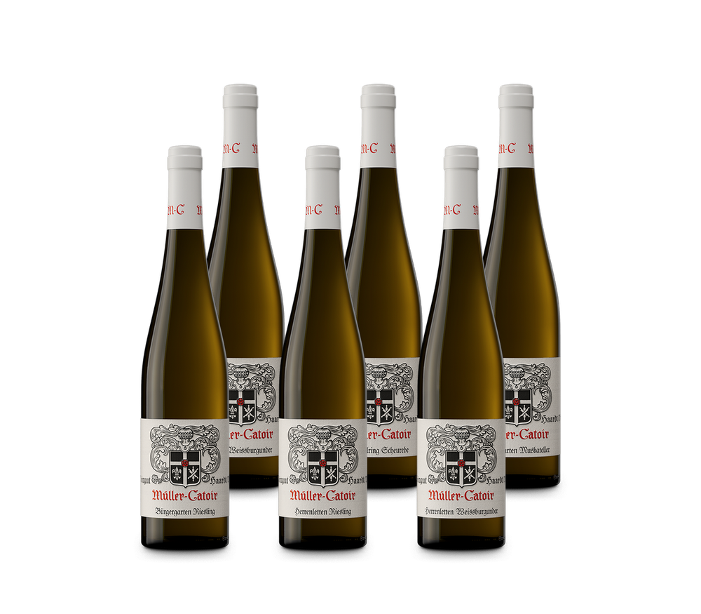 Probierpaket
