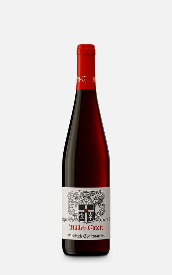 Spätburgunder Rotwein Mussbach