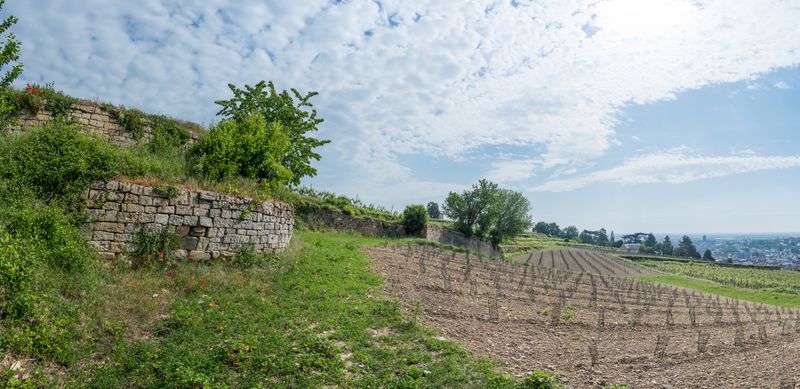 Panorama7 (Benutzerdefiniert)