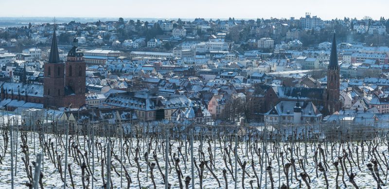 neustadt panorama vogelsang