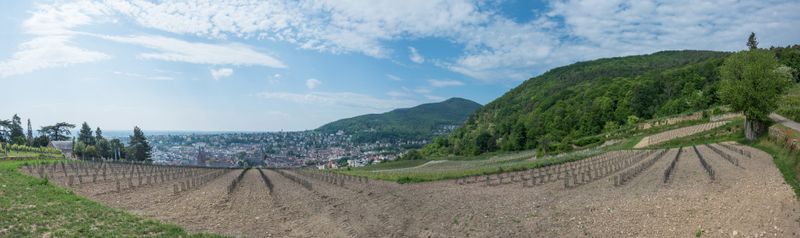 Panorama12 (Benutzerdefiniert)