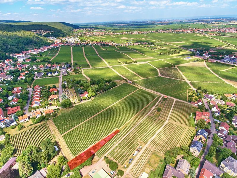02_6105pfzbuergergartenhaardt03byvdpweb_man