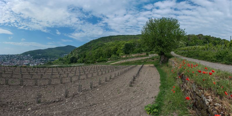 Panorama8 (Benutzerdefiniert)
