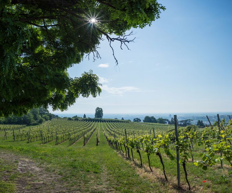 Panorama1 (Benutzerdefiniert)