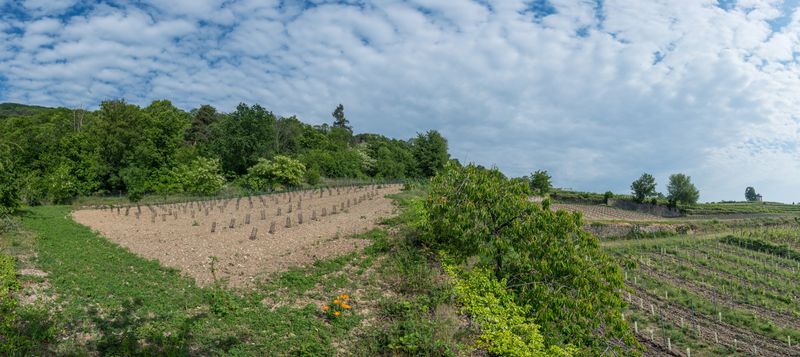 Panorama4 (Benutzerdefiniert)