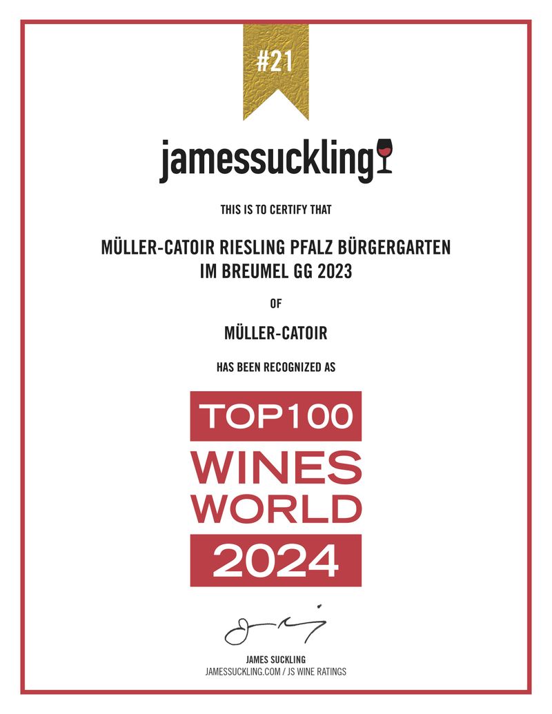 Top 100 WOTY 2024 #21